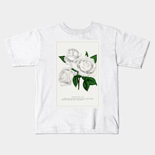 White rose, Coquette Des Alps lithograph (1900) Kids T-Shirt